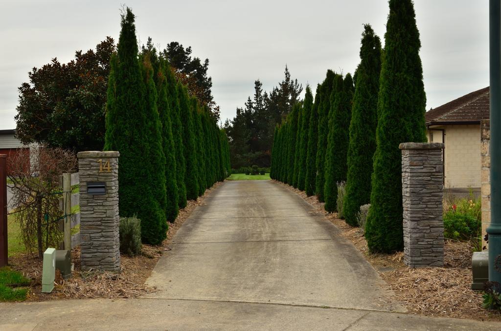 Lavender Lodge Tauranga Exterior photo